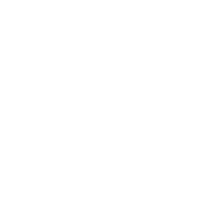 Automotive Electronics & Consumer Electronics
